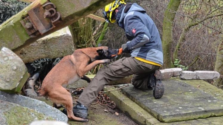 Belohnung nach erfolgreicher Suche im Trümmerfeld auf dem Bunker in Harmenhausen: Denis Laus balgt mit seinem Belgischen Schäferhund Sheewa um ein Spielzeug.