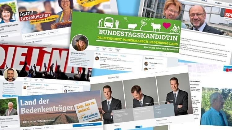 Alle sieben Direktkandidaten haben Internetpräsenzen auf verschiedenen Portalen. Screenshots: dk-online.de/Montage: Jan Eric Fiedler
