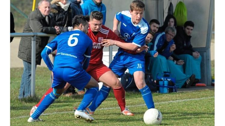 Vom VfL Stenum zu den SF Wüsting-Altmoorhausen: Viktor Stetinger (Mitte). Vom VfL Stenum zu den SF Wüsting-Altmoorhausen: Viktor Stetinger (Mitte).