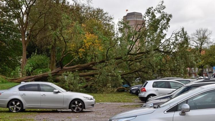 Sturm „Xavier“ knickte in Delmenhorst zahlreiche Bäume ab. 