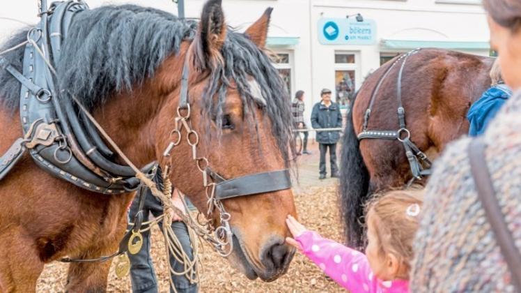 Kleines Mädchen streichelt großes Pferdchen: Der 14. Gänsemarkt in Wildeshausen bietet auch wieder viele Tiere. 