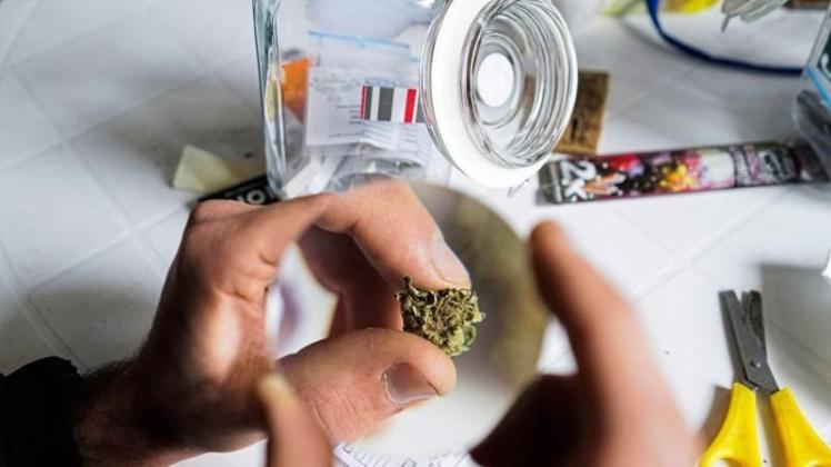 In Uruguay können zwei Sorten Marihuana in Mengen von maximal zehn Gramm die Woche gekauft werden. 