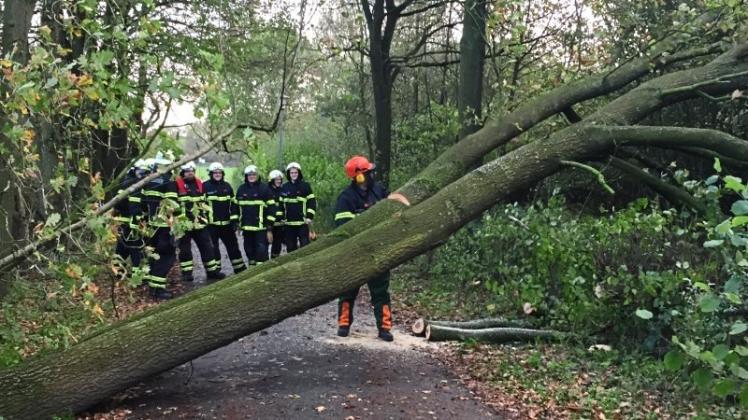 Die Wildeshauser Feuerwehr war acht Mal im Einsatz, weil umgestürzte Bäume die Fahrbahnen blockierten. 