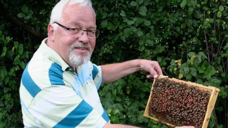 Nektarsammler und Bestäuber: Stadtbienen, wie die von Ansgar Erpenbeck, liefern rund 50 Kilo Honig im Jahr. Landbienen nur die Hälfte. 