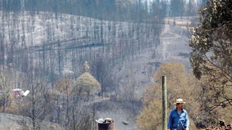 Ein Mann läuft vor einem verbrannten Wald in. Bei den schlimmsten Waldbränden in der Geschichte von Chile ist langsam Besserung in Sicht. 