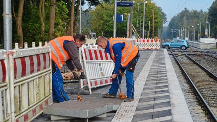 Die Arbeiten auf den Bahnhöfen Schierbrok (Foto) und Hoykenkamp gehen laut Bahn gut voran. Im November soll die Modernisierung abgeschlossen werden. Die Arbeiten auf den Bahnhöfen Schierbrok (Foto) und Hoykenkamp gehen laut Bahn gut voran. Im November soll die Modernisierung abgeschlossen werden.