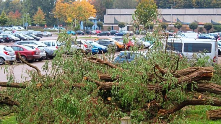 Zahlreiche Parkplätze auf den Graftwiesen werden nach wie vor von Bäumen blockiert, die Sturmtief Xavier am Donnerstag umriss. 