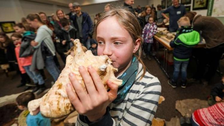 Musik produzierte die achtjährige Jette, als sie bei den gut besuchten Steinzeittagen im Museum am Schölerberg in eine Muschel blies. 