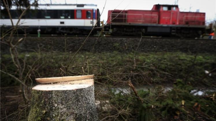 Ein 15-Jähriger hat bei Bremen einen Baum abgesägt und diesen auf die Oberleitung einer Bahnstrecke fallen lassen. Symbolfoto: David Ebener