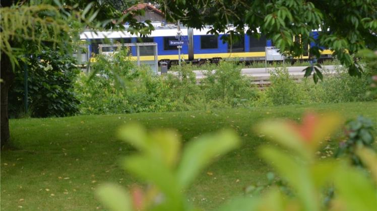Ihre Grünflächen im Zuge des Sanierungsvorhabens Bahnhofsumfeld zu verlieren, fürchten die Anwohner der Gerhard-Hauptmann-Straße. Ihre Grünflächen im Zuge des Sanierungsvorhabens Bahnhofsumfeld zu verlieren, fürchten die Anwohner der Gerhard-Hauptmann-Straße.