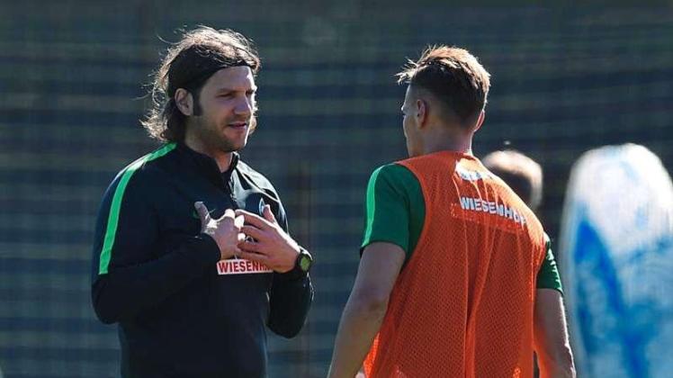 Torsten Frings wird neuer Trainer in Darmstadt. Torsten Frings wird neuer Trainer in Darmstadt.