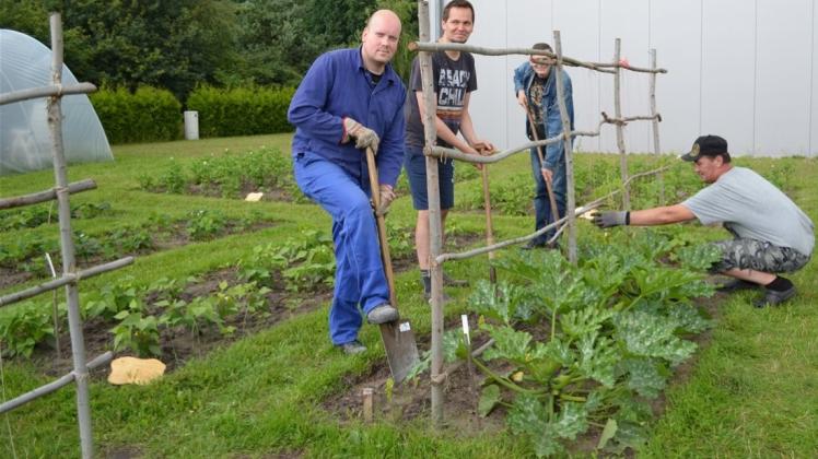 Sie kümmern sich um Anbau, Pflege und Ernte beim Gartenprojekt der Ländlichen Erwachsenenbildung in Ganderkesee: (von links) Gerrit Adolph, Matthias Piesch, Andreas Ramdohr und Wladimir Guse. 