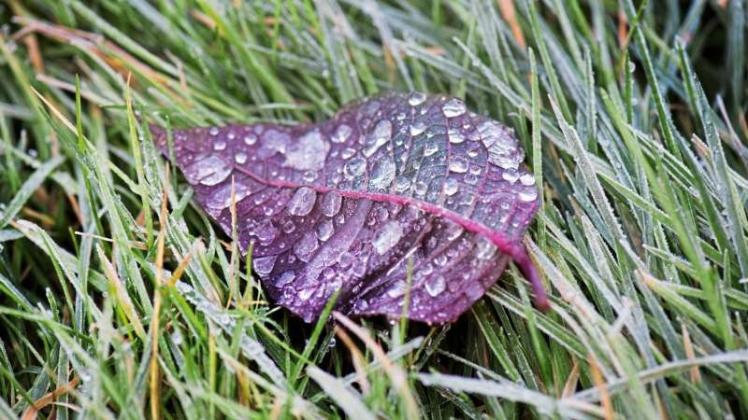 Das Jahr 2016 geht vielerorts mit recht freundlichem Wetter zu Ende. Das Jahr 2016 geht vielerorts mit recht freundlichem Wetter zu Ende.