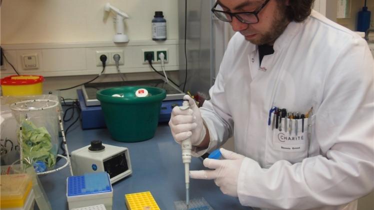 An der Charité in Berlin erforschen Wissenschaftler die Wirkung von Vitamin D bei Autoimmunerkrankungen. An der Charité in Berlin erforschen Wissenschaftler die Wirkung von Vitamin D bei Autoimmunerkrankungen.