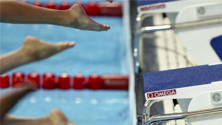 Sechs Schwimmer des SV Ganderkesee haben am Kreisnachwuchschwimmen im Wildeshauser Krandelbad teilgenommen. Sie feierten sieben Siege. Sechs Schwimmer des SV Ganderkesee haben am Kreisnachwuchschwimmen im Wildeshauser Krandelbad teilgenommen. Sie feierten sieben Siege.
