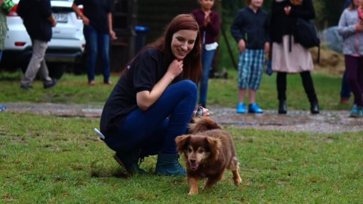 Sucht ein neues Zuhause: Hundesenior Bobby, der den Besuchern des Tierschutzhofs vorgestellt wurde. Fotos: Grabbe