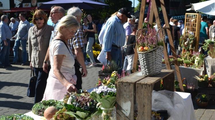 Sommerliches Wetter, herbstliche Dekorationen: Der Bauernmarkt in Moordeich lockte auch in diesem Jahr wieder viele Besucher an. 