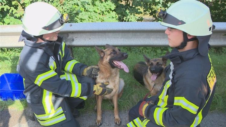 Nach einem Auffahrunfall am Dienstagnachmittag auf der Autobahn 29 bei Sandkrug hat die Feuerwehr zwei Hunde aus einem schwer beschädigten Auto befreit. 
