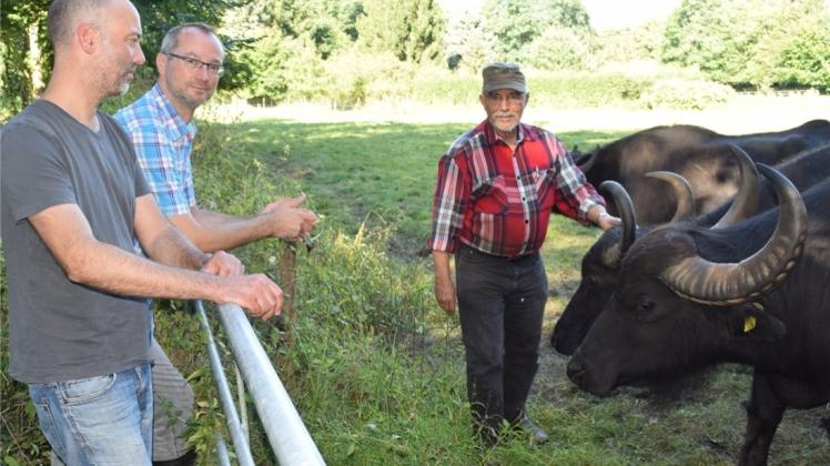 Die Wasserbüffel beeindrucken (von links) den Projektentwickler David Lang und den Ökologen Dr. René Krawczynski. Züchter Peter Biel zeigte sie auf der Forstweide in Huntlosen. Die Wasserbüffel beeindrucken (von links) den Projektentwickler David Lang und den Ökologen Dr. René Krawczynski. Züchter Peter Biel zeigte sie auf der Forstweide in Huntlosen.