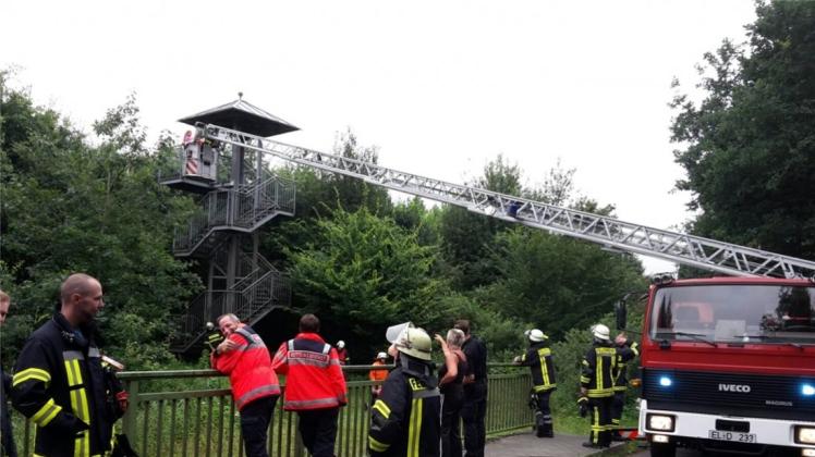Wespen haben zwei Mädchen an den Brögberner Teichen auf einem Aussichtsturm angegriffen und gestochen. Die Feuerwehr rettete die Kinder. 