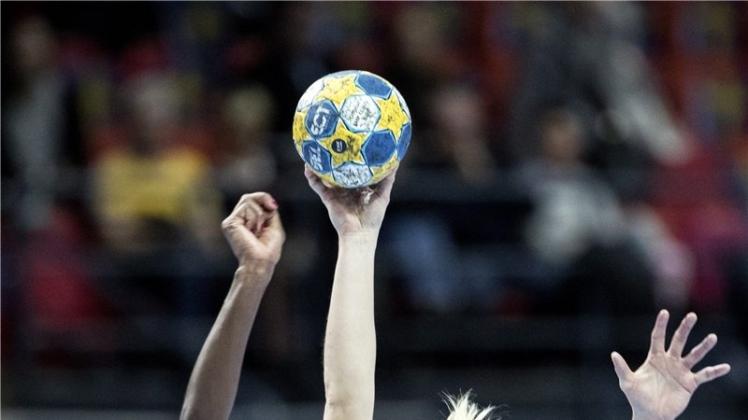 Zwei Handball-Mannschaften des Delmenhorster Max-Planck-Gymnasiums gewinnen in Oldenburg den Kreisgruppenentscheid. 