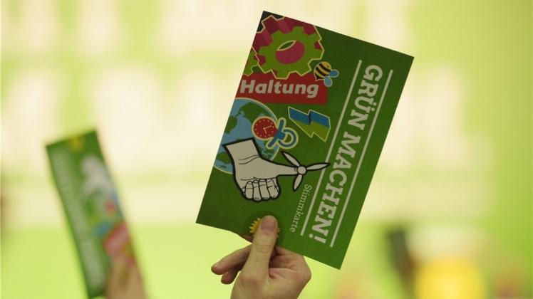 Die Grünen haben ihr Programm für die kommende Kommunalwahl vorgestellt. Grüne Motive lassen sich darin klar erkennen, Delmenhorster Lokalkolorit ebenso. Symbolfoto: Rainer Jensen/dpa