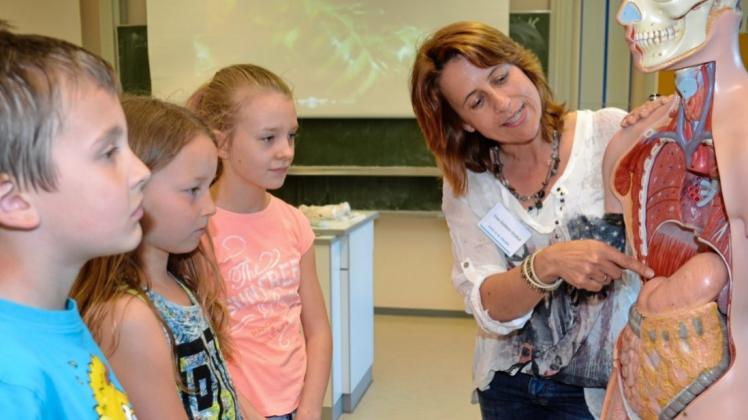 Lehrerin Silke Gebken-Grybat erklärt den Viertklässlern Mirco (v. l.), Lea und Birla beim Kennenlerntag in der Oberschule an der Ellerbäke die inneren Organe. 