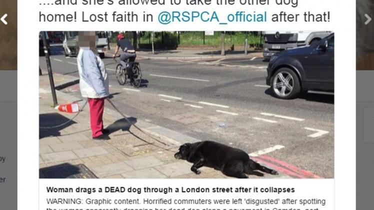 Unglaubliche Szene aus London: Die Frau zerrte ihren toten Hund hinter sich her. Screenshot: NOZ/Twitter/Private Magnum
