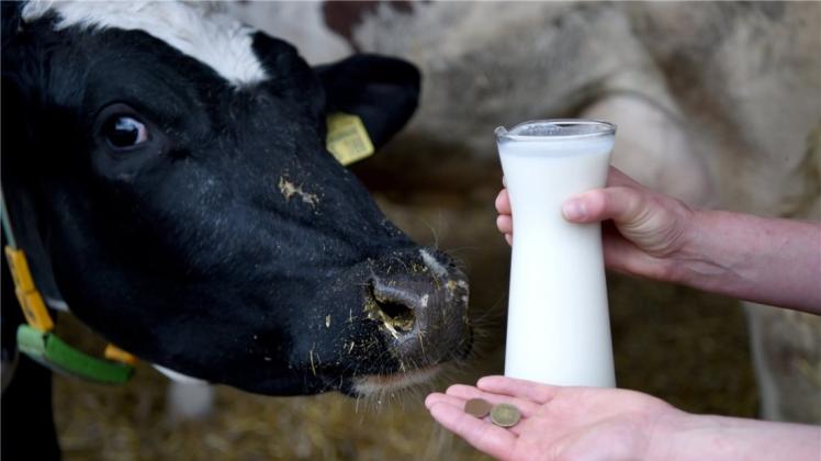 Mit einer Petition möchte der Kreislandvolkverband Oldenburg die Aufmerksamkeit auf den Preisverfall bei der Milch lenken. 