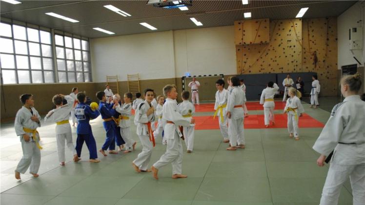 Das erste Kreisnachwuchstraining für Judoka der Altersstufen U10 bis U15 hat jetzt die Judo-Abteilung des SC Wildeshausen ausgerichtet. 