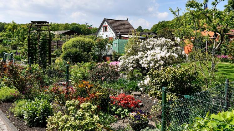 Osnabrück So viel Geld sollten Hausbauer für Garten einplanen