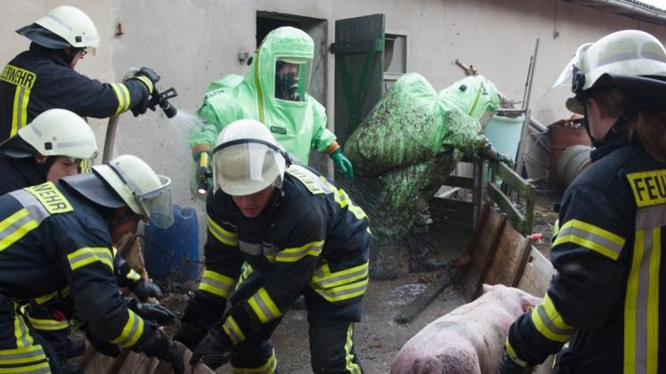 Viel zu tun hatten die Feuerwehrleute gestern Nachmittag beim „tierischen“ Einsatz in Neu-Holzkamp. Viel zu tun hatten die Feuerwehrleute gestern Nachmittag beim „tierischen“ Einsatz in Neu-Holzkamp.