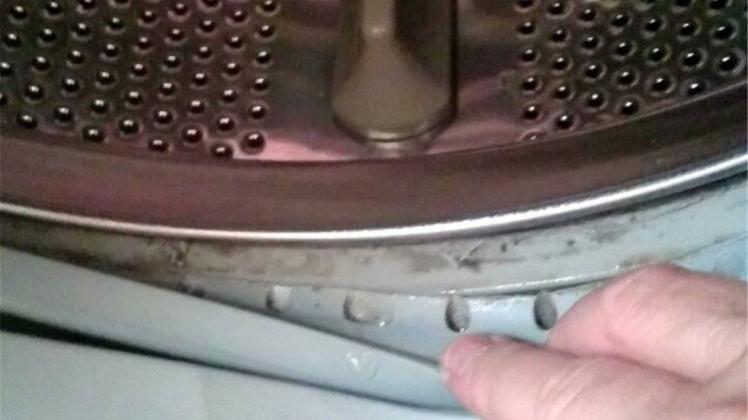 Das Innenleben der Waschmaschine sieht nicht nach einer professionellen Reinigung aus. 