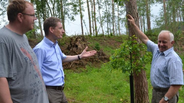Günter Westermann (r.) zeigt seinen CDU-Parteikollegen Lars Hüneke (l.) und Ralf Wessel seine Waldfläche am Havekoster Sand mit neu angepflanzten Eichen als Kompensationsmaßnahme. 