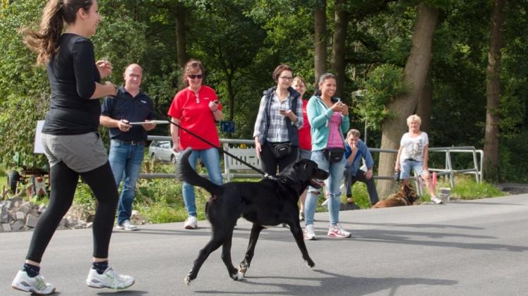 Auch ein 1000-Meter-Lauf gehörte beim Hunde-Tag des Hundesportvereins Delmenhorst IRV Gruppe 33 am Warrelmannsweg in Bookholzberg zu den Disziplinen der Breitensportwettkämpfe. 