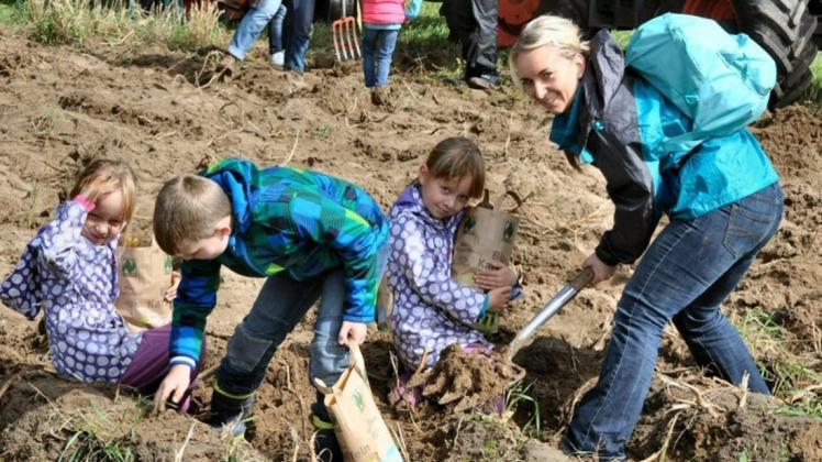 Die Kartoffelernte wird auf dem Biohof Bakenhus zum Spaß für die ganze Familie. Die Kartoffelernte wird auf dem Biohof Bakenhus zum Spaß für die ganze Familie.