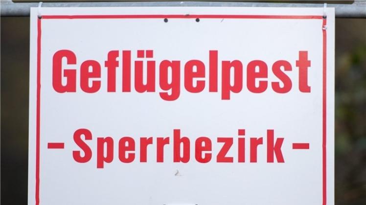 Ein Schild mit der Aufschrift „Geflügelpest - Sperrbezirk“ hängt in Grumby (Schleswig-Holstein) unter dem Ortsschild.  