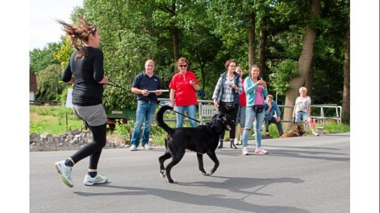 Gelangen nach 1000 Metern ins Ziel: Eine Hundehalterin und ihr Vierbeiner. Bei dem Wettbewerb des Delmenhorster Hundsportvereins bewältigten Herrchen und Hunde gemeinsam Aufgaben. 