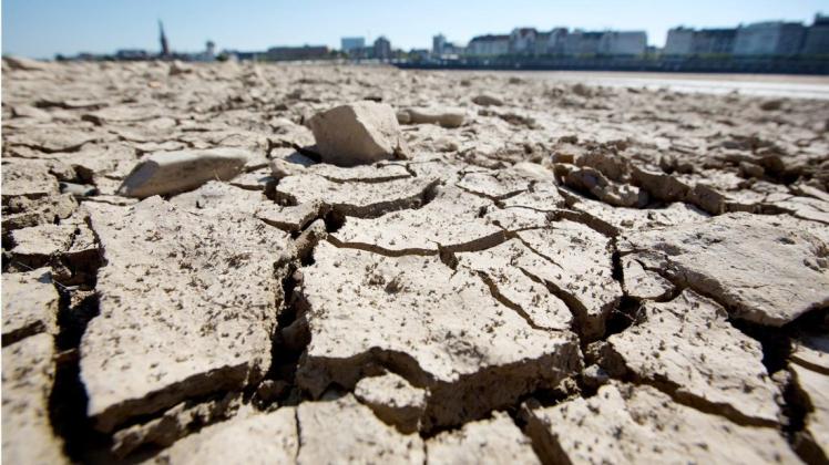 Nicht in der Wüste, sondern am Ufer des Rheins sind durch die anhaltende Trockenheit Risse entstanden. Foto: dpa/Martin Gerten