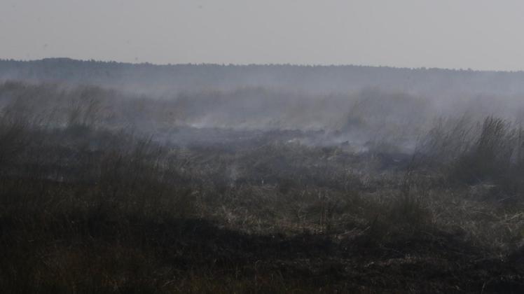 Der Flächenbrand auf der WTD 91 in Meppen hat sich am Wochenende weiter ausgebreitet. 