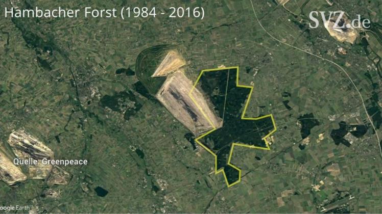 Ein Greenpeace-Video zeigt die Rodung des Hambacher Forsts im Zeitraffer von 1984 bis 2016.