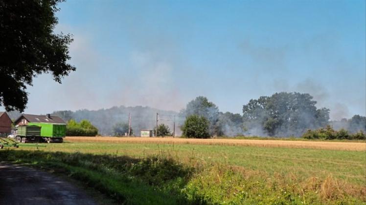 Entlang der Bahngleise brennt auf rund 100 Metern in Feld im Hintergrund. 