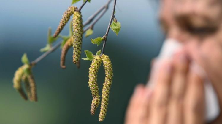 Weil es immer mehr Allergiker gibt, ist der Verein PASCHA gegen eine weitere Anpflanzung von Birken in der Graft. Symbolfoto: dpa