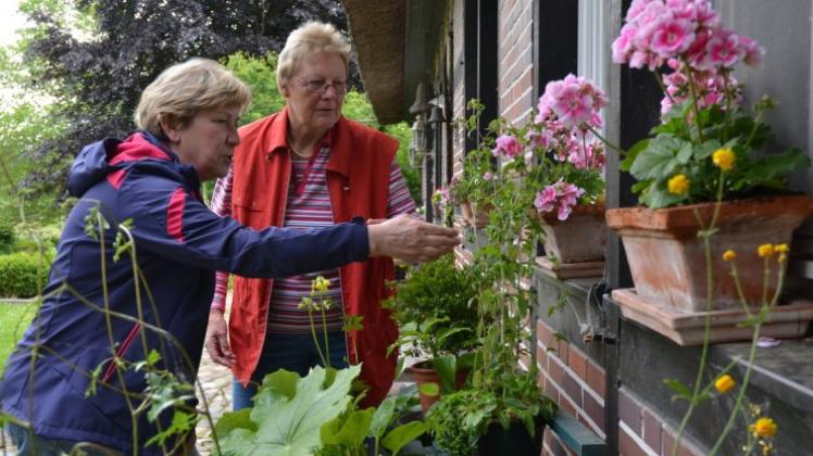Das Fachsimpeln und die gute Pflanzenqualität schätzen die Käufer und Verkäufer auf dem Staudenmarkt. Das wollen die ehemalige Organisatorin Gertrud Stöver (rechts) und Doris Adrians, die ihre Aufgaben übernimmt, erhalten. 