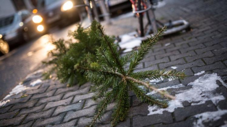 Vom 7. bis zum 20. Januar werden in Delmenhorst kostenlos Weihnachtsbäume entsorgt. 