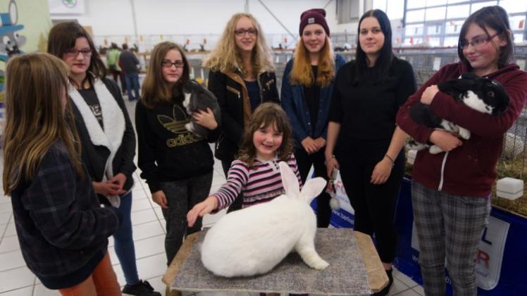 Wahrhaft ein „Deutscher Riese“ ist dieses schneeweiße Kaninchen. Bestaunt wird es von jungen Besucherinnen der 57. Vereinsschau von I5 Delmenhorst im Autohaus Schmidt + Koch. Wahrhaft ein „Deutscher Riese“ ist dieses schneeweiße Kaninchen. Bestaunt wird es von jungen Besucherinnen der 57. Vereinsschau von I5 Delmenhorst im Autohaus Schmidt + Koch.