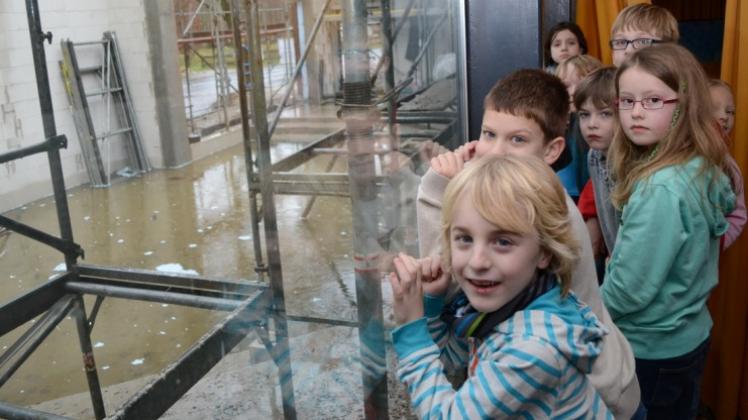 Durch die Fensterfront ihrer alten Aula können die Schierbroker Grundschüler mitverfolgen, wie der neue Anbau in Richtung Bahnhofstraße errichtet wird. Durch die Fensterfront ihrer alten Aula können die Schierbroker Grundschüler mitverfolgen, wie der neue Anbau in Richtung Bahnhofstraße errichtet wird.