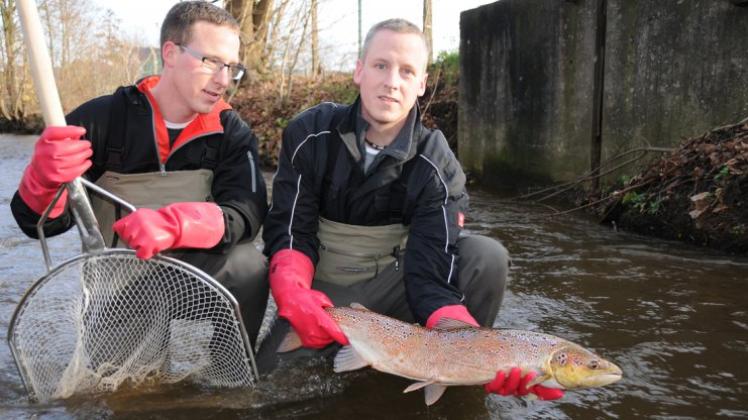 Die Brüder Michael (l.) und Tobias Kolhoff vom Fischereiverein Twistringen helfen an Delme und Welse per Elektro-Fischen mit, den Nachwuchs des Atlantischen Lachses zu sichern. Die Brüder Michael (l.) und Tobias Kolhoff vom Fischereiverein Twistringen helfen an Delme und Welse per Elektro-Fischen mit, den Nachwuchs des Atlantischen Lachses zu sichern.