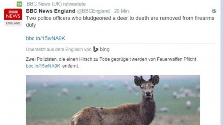 Twitter hat eine Übersetzungsfunktion integriert. Und die belegt in erster Linie eins: Wenn Maschinen übersetzen, ist das Ergebnis meist noch ausbaufähig. Screenshot: noz.de