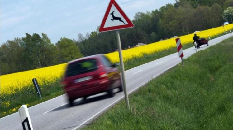 An einer Landstraße in Sachsen warnt ein Straßenschild vor Wildwechsel. 